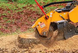 Best Weed Control  in Galax, VA