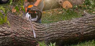 Best Lawn Watering Services  in Galax, VA