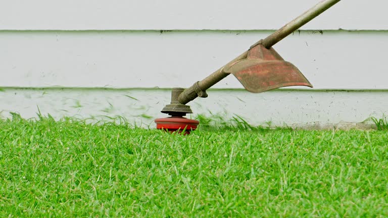 Best Lawn Disease Treatment  in Galax, VA